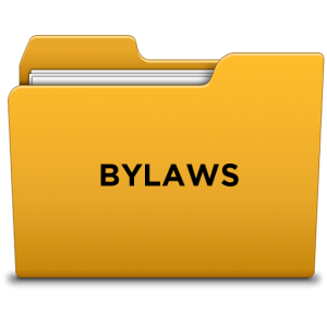 bylaws_icon